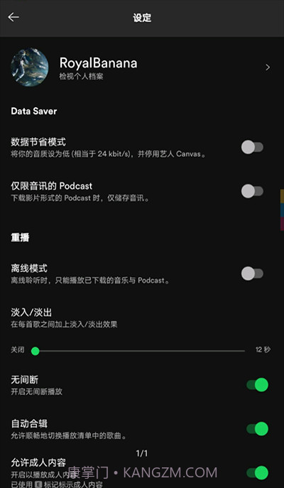 声破天Spotify截图2