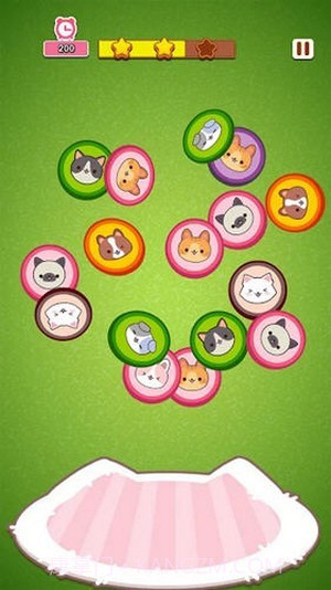 喵喵酒店照片截图2