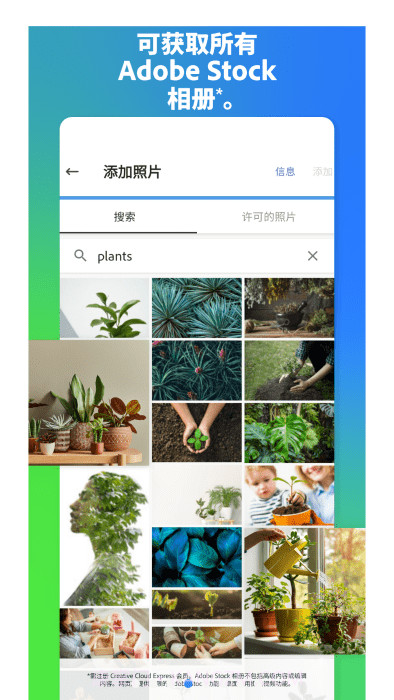 adobe express设计中文版截图2 adobe express设计中文版截图2