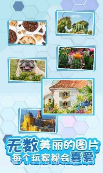 拼图来几把截图2