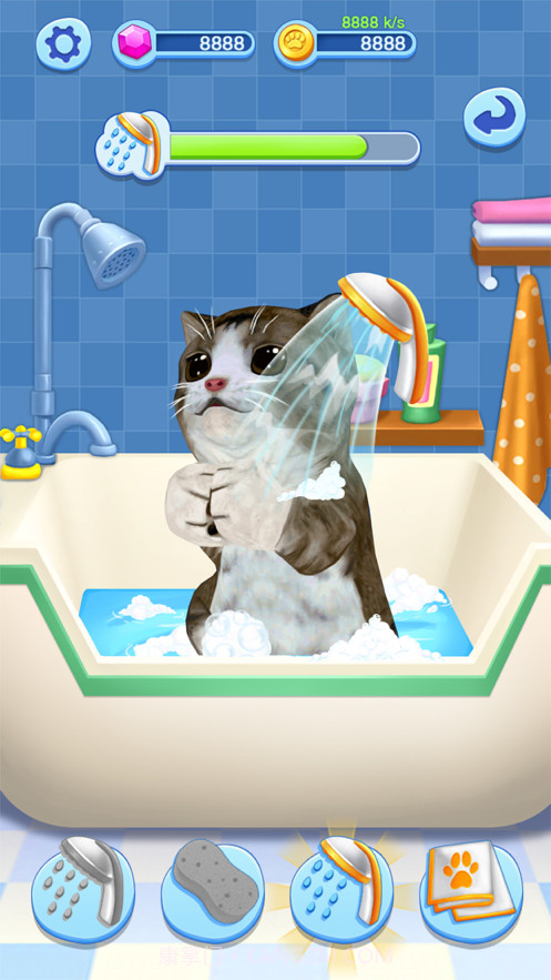 宠物大乐园截图3 宠物大乐园截图3