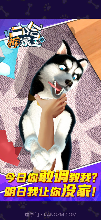 二哈拆家王截图5