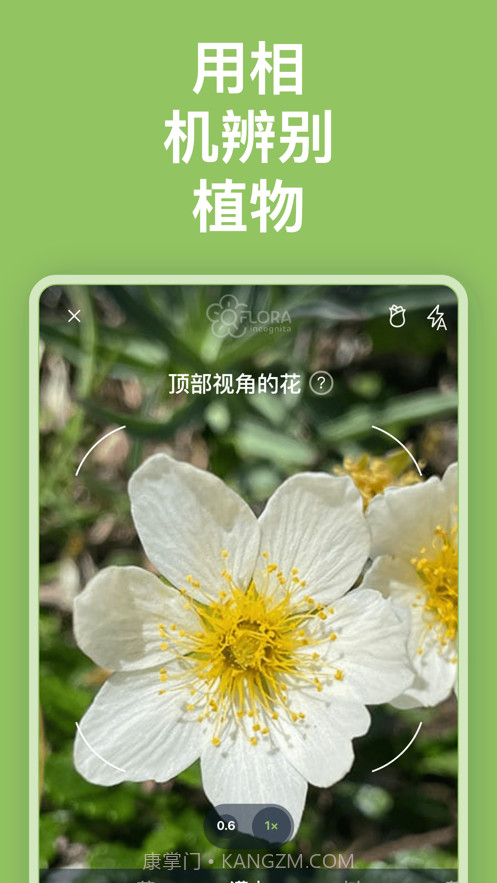 Flora Incognita植物识别截图3 Flora Incognita植物识别截图3