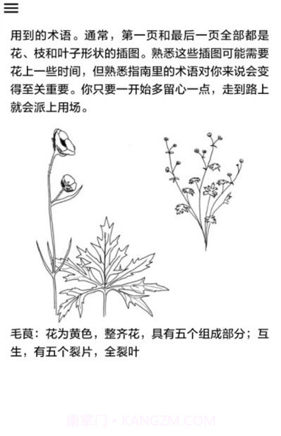 野外植物识别手册截图4 野外植物识别手册截图4