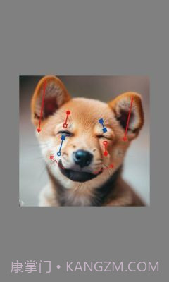 DragGAN AI截图2 DragGAN AI截图2