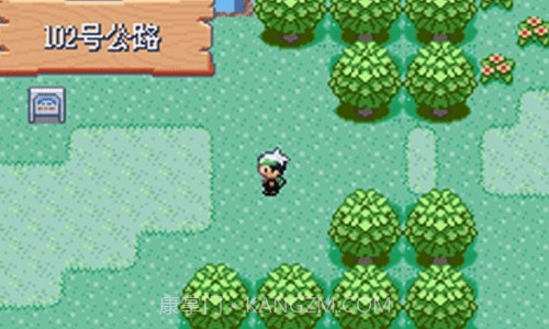 口袋妖怪绿宝石rom截图3 口袋妖怪绿宝石rom截图3