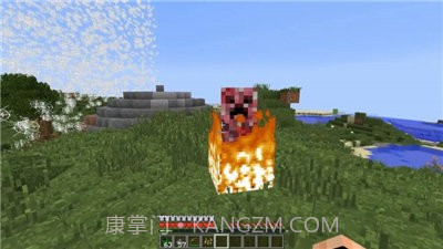 我的世界1.17.30.21种子截图2 我的世界1.17.30.21种子截图2