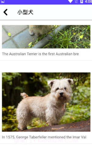 狗狗图鉴截图1 狗狗图鉴截图1