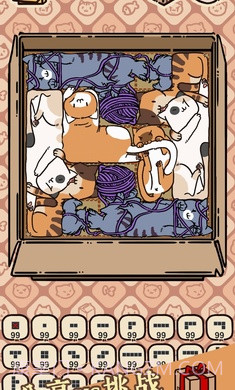 盒子猫截图2 盒子猫截图2