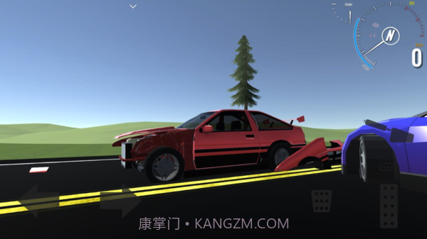 真实驾驶5截图1