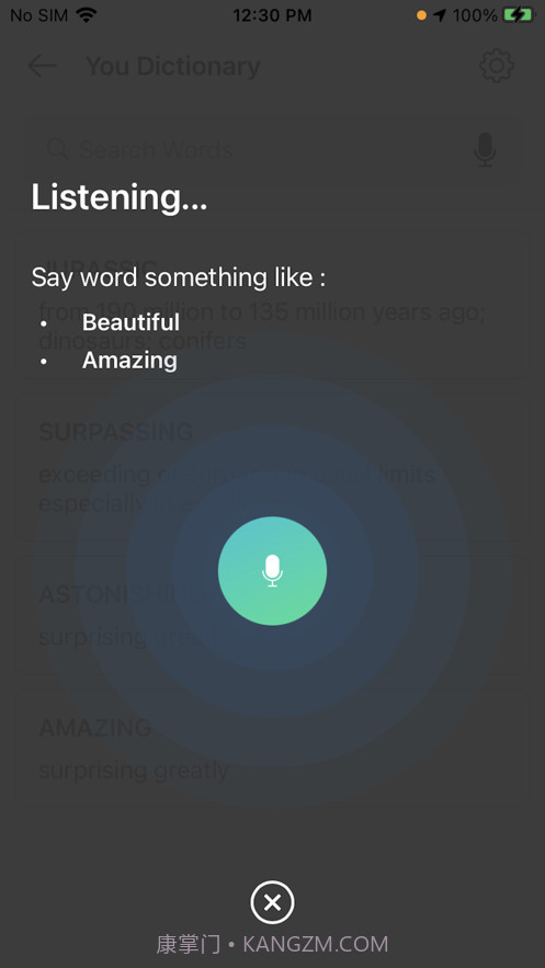 YouDictionary截图4 YouDictionary截图4