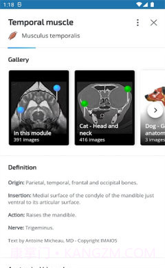 vet Anatomyv3.1.0截图1