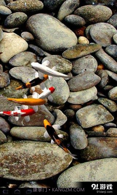 锦鲤3D动态壁纸截图4