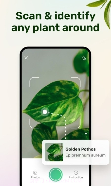 植物养护指南截图1 植物养护指南截图1