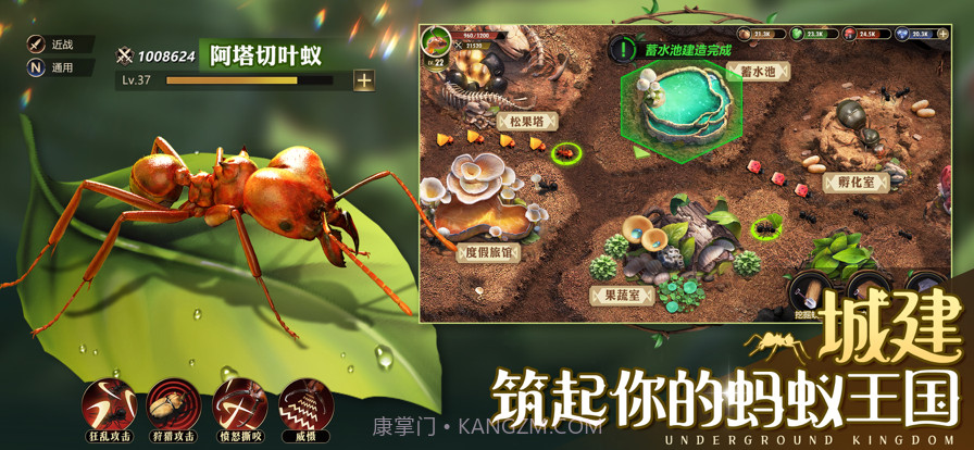 小小蚁国:真实蚂蚁世界截图1 小小蚁国:真实蚂蚁世界截图1