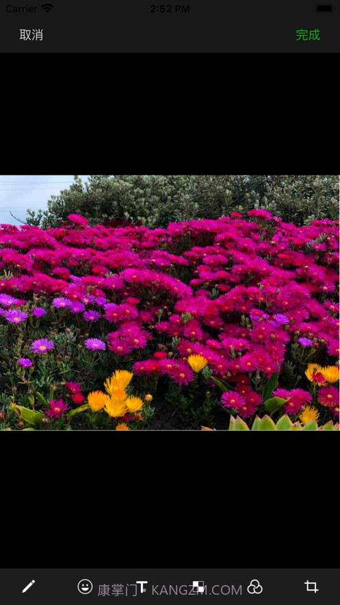 柠檬分身相机截图3