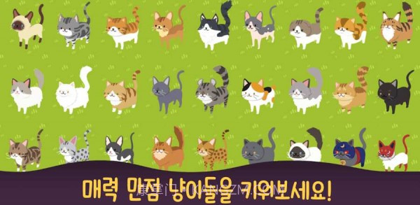 喵喵餐厅截图2 喵喵餐厅截图2