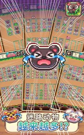 动物大风吹截图3 动物大风吹截图3