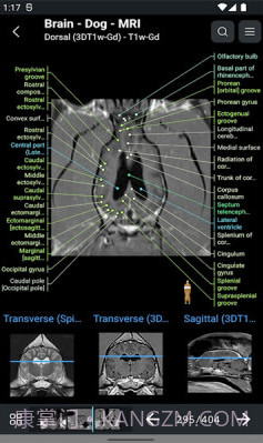 vet Anatomyv3.1.0截图2