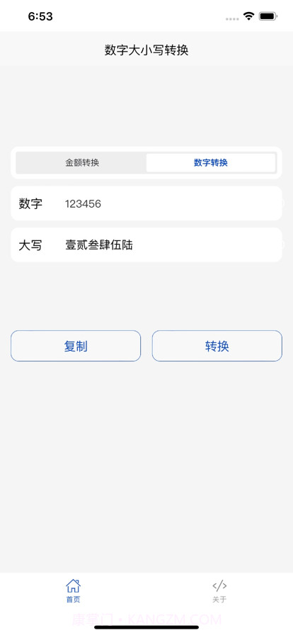 金额大小写截图2 金额大小写截图2