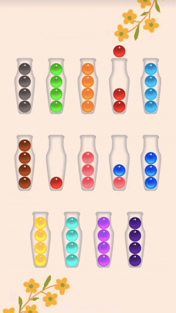 动脑达人游戏截图2