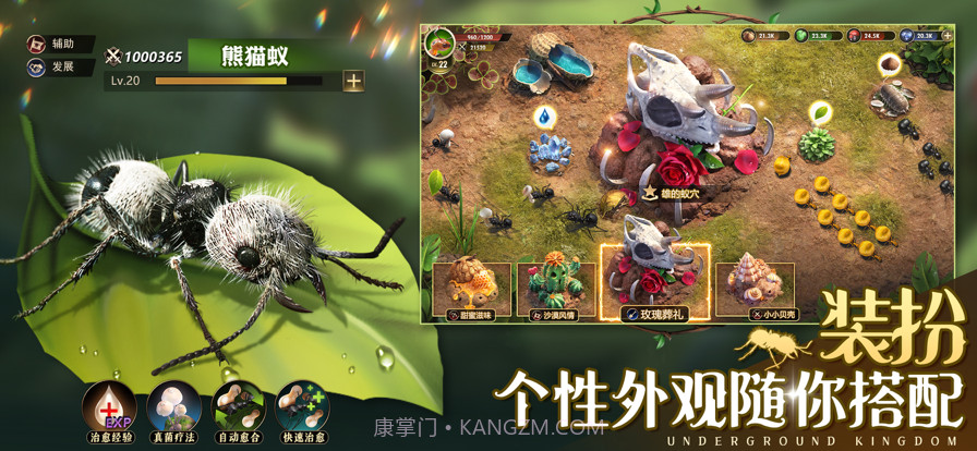 小小蚁国:真实蚂蚁世界截图4 小小蚁国:真实蚂蚁世界截图4