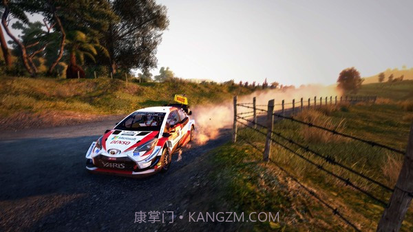 WRC9截图3