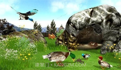 真正的鸭子3D截图2 真正的鸭子3D截图2