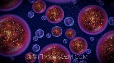 吞噬进化生存截图2