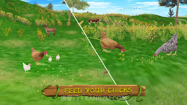 真实模拟鸡3D截图3