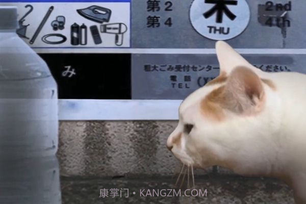 猫的一天怪奇谭(全剧情存档)完整版截图2 猫的一天怪奇谭(全剧情存档)完整版截图2