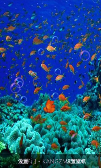 3D海底世界动态壁纸截图3 3D海底世界动态壁纸截图3