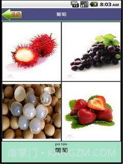 看图识字水果篇截图5