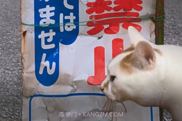 猫的一天怪奇谭(全剧情存档)完整版截图3 猫的一天怪奇谭(全剧情存档)完整版截图3