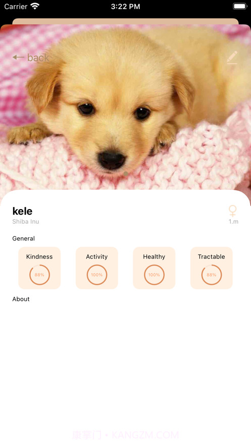 宠物狗狗记截图2 宠物狗狗记截图2