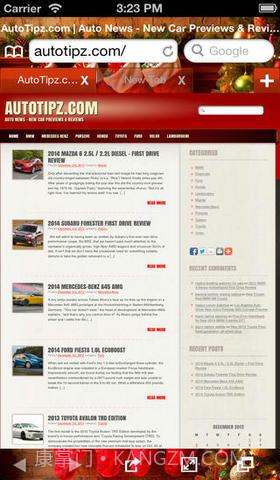 极速浏览器截图1