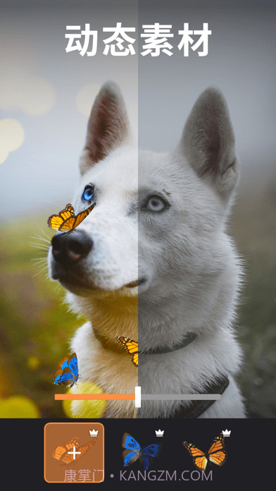 Motionleap截图6 Motionleap截图6