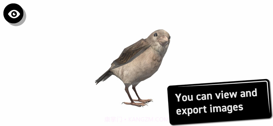 鸟类3D参考截图4 鸟类3D参考截图4