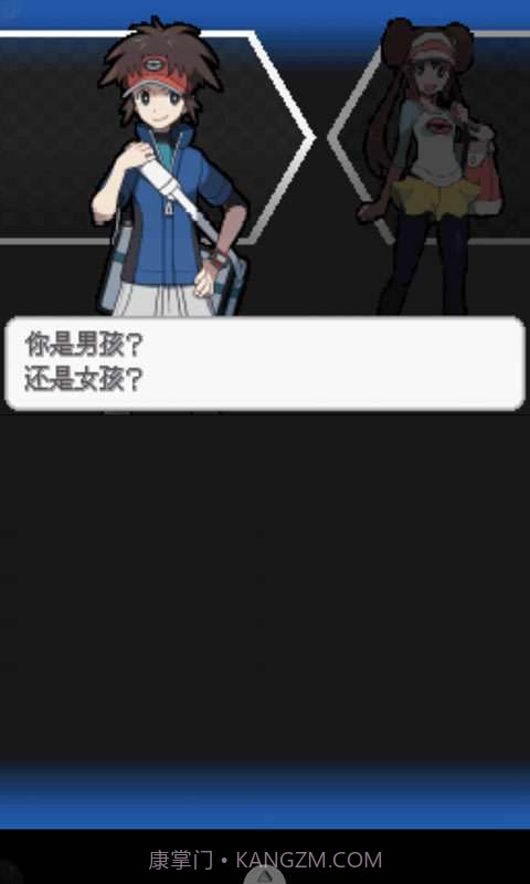 口袋妖怪-黑2截图2