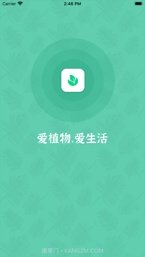 口袋绿植截图1