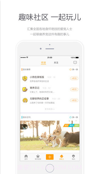小狗在家-宠物寄养截图4 小狗在家-宠物寄养截图4