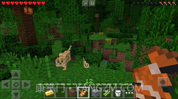 我的世界国际版(Minecraft)截图1 我的世界国际版(Minecraft)截图1