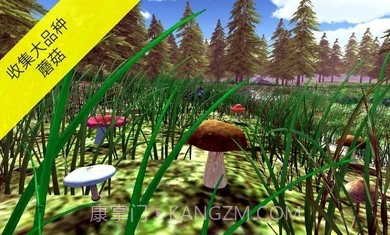 真实采集蘑菇模拟器截图3