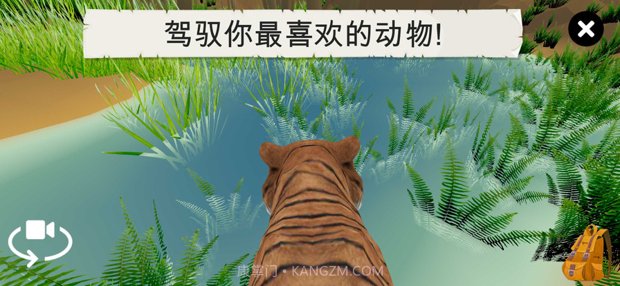 野生动物截图7