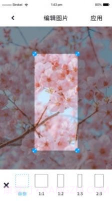 P图照片处理截图3 P图照片处理截图3