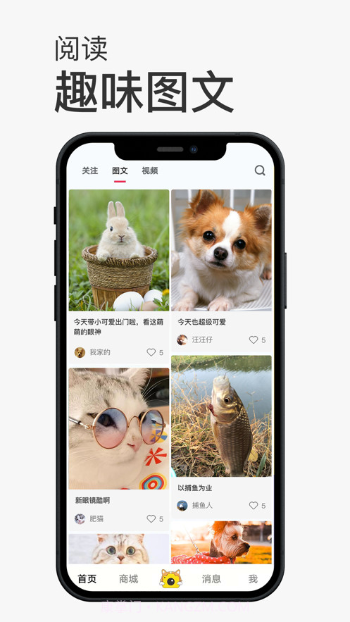 小宠书截图5