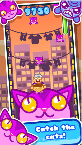 猫猫篮子截图2 猫猫篮子截图2