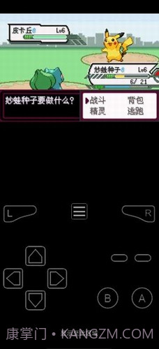 口袋妖怪最后的火红截图3