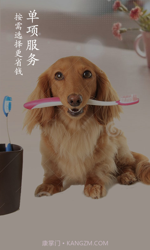 宠物家截图4 宠物家截图4