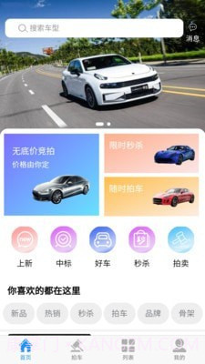 松子拍车截图1 松子拍车截图1